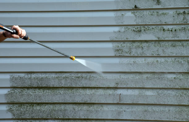 Best Mold Cleaning Services  in Mandeville, LA