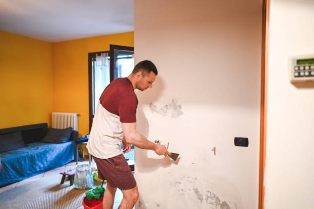 Best Crawl Space Mold Removal  in Mandeville, LA